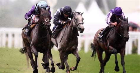 coronation stakes odds
